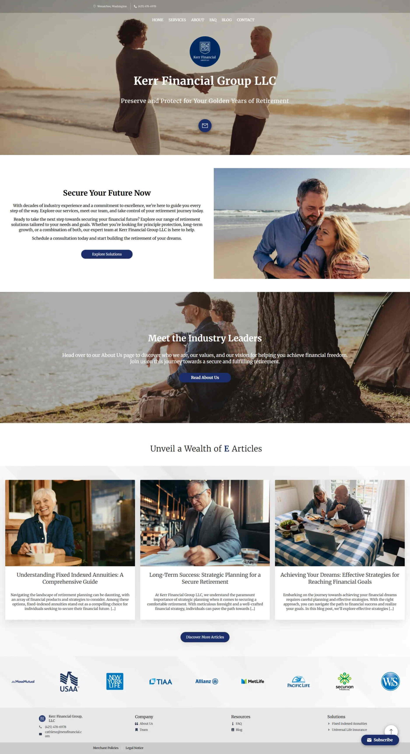 Financial & Professional Services website